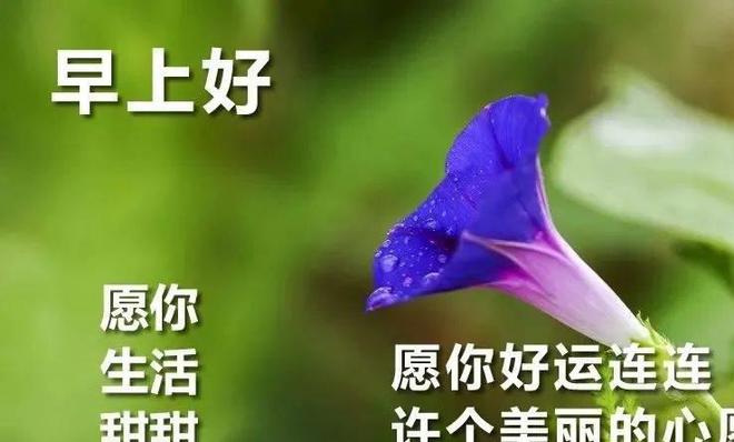 最新早上好微信图片，元气满满开启美好一天