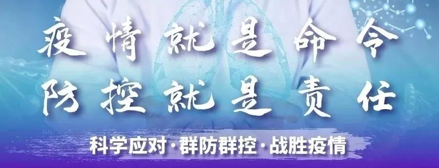 南乐县最新消息概览，全面解读发展动态