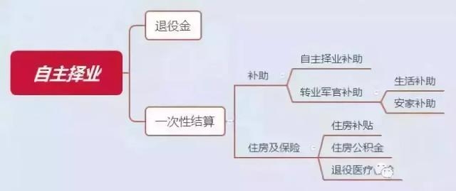 最新自主择业金计算器，助力职业决策之路