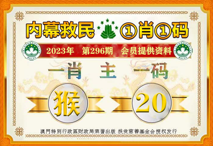 揭秘2017最新一肖一码，真相与影响探究