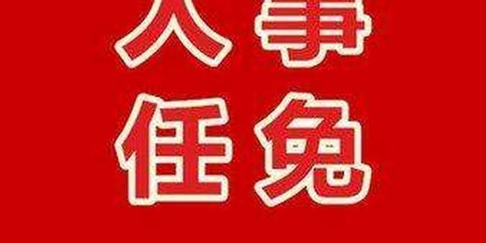 海南省政府最新人事任免动态